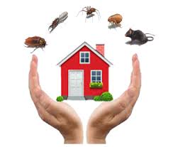 Reviews, hours, directions, coupons and more for chapa s pest control at 17rosario st, alice, tx. Pest Control Alice Springs Best Exterminator Professional Pest Removal