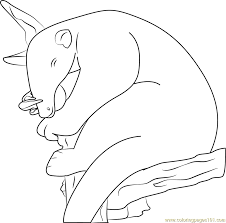 Giant anteater watching to food and eating coloring page anteater coloring page twisty noodle of coloring page giant anteater animal coloring pages. Sleeping Anteater Coloring Page For Kids Free Anteater Printable Coloring Pages Online For Kids Coloringpages101 Com Coloring Pages For Kids
