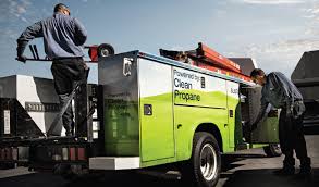 Image result for Green 2020 Fleet