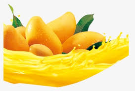 1151 png images for mango. Mango Images Png Images Transparent Mango Images Image Download Pngitem