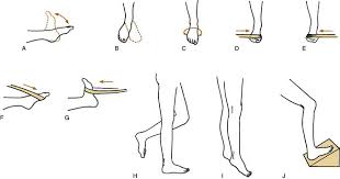 Learn how to do this exercise: The Ankle And Foot Clinical Gate