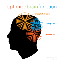 She encourages engaging in activities that allow our brains to hyperfocus on the small, meaningless details of things to loosen the oppressive grip of our latls on our brain functioning. Secrets Of The Brain Unlocked How To Increase Brain Power Scholar Idea