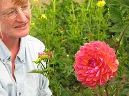 8858 e dahlia dr is a house in scottsdale, az 85260. A Budding Business Takes Root In Sonoita Local News Stories Nogalesinternational Com