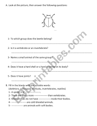 Invertebrates | ciencia, examen / examine the chart giving information about invertebrates. Invertebrates Esl Worksheet By Shariri82