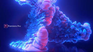 Download and use free motion graphics templates in your next video editing project with no attribution or sign up required. Download Color Smoke Logo Reveal 5 Premiere Pro Free Videohive After Effects Projects