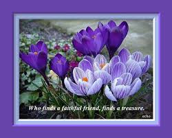 Maybe you would like to learn more about one of these? Flower Quotes About Friendship Quotesgram