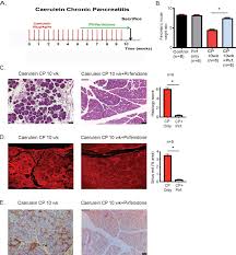 Image result for Pycreus fibrillosus