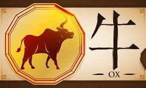 People born in the year of the ox are strong, reliable, fair and conscientious, inspiring confidence in others. Year Of The Ox Meaning For Your Life Personality Lovetoknow