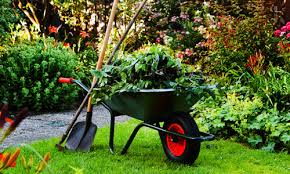 We work with, both, residential and commercial landscaping customers throughout the greater chicago illinois area. Commercial Residential Lawn Care Maintenance Services Melbourne How To Find Expert Garden Maintenance Services In Melbourne