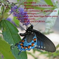 Pin On Osirsmelisasentimientos 5