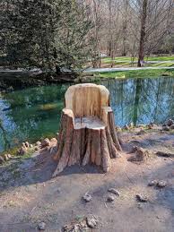 Tree Trunk Chair Tree Furniture Carved Tree Stump Tree Trunks