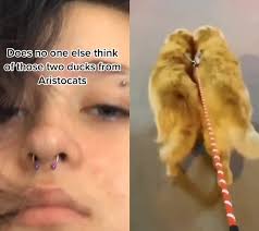 Ducks Waddling Aristocats