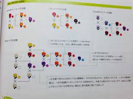 Flower Breeding Guide It S In Japanese But You Get The Idea New Animal Crossing Animal Crossing Pc Animal Crossing 3ds