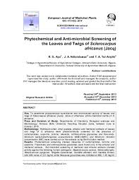 Image result for Sclerocarpus africanus