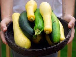 Zucchini summer squash, includes skin, cooked, boiled, drained, without salt 1 cup, sliced 27 calories 4.8 g 0.6 g 2.1 g 1.8 g 0 mg 0.1 g 5.4 mg 3.1 g 0 g grams cup, sliced cup, mashed nutrition facts The Nutritional Value Of Zucchini
