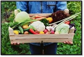 I know you don't always have much time to spend on dinner but you need it to be healthy. 5 Healthy Meals Made From Spring Produce