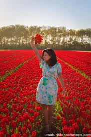 Os contatos entre brasil e países baixos remontam à história compartilhada do período da os principais itens exportados são plantas e flores, carnes, legumes e verduras e laticínios. Keukenhof Como Visitar O Maior Jardim De Flores Do Mundo Holanda