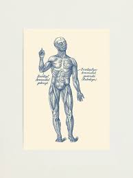 Muscles help us to move our body parts. Arm Muscle Drawing Drawing For Kids Adult