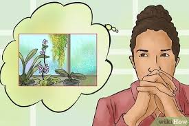 How do you get your landlord to allow pets? How To Get Your Landlord To Fix A Mold Problem With Pictures