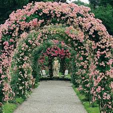 Pin By Romy On Lillysgarden Charming Garden Rose Garden Landscape Garden Arches