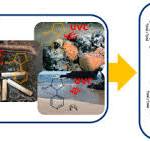 UV-254 degradation of nicotine in natural waters and ...