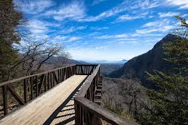 Resultado de imagen para altos de lircay