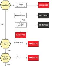 Image result for JumpSTART Triage