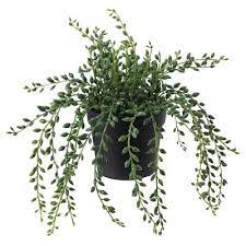 Plants Flowers Ikea Artificial Potted Plants Artificial Plants Outdoor Artificial Plants