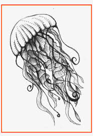 Check spelling or type a new query. Astonishing Jellyfish Jelly Fish And Pic Of Drawing Ocean Drawing Ideas Transparent Png 2529x3558 Free Download On Nicepng