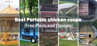 Chickens should have a separate run or outdoor space, but if this is. Ils3d8u 2c6lqm