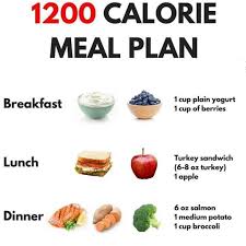 1200 Calorie Meal Plan I Don T Prescribe Meal Plans I Prescribe Meal Templates 1200 Calorie Diet Meal Plan 1200 Calorie Meal Plan Diet Meal Plans