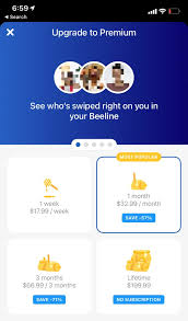 Bumble will set you down right in the middle of the city. What Is Bumble Boost How It Works How To Get It
