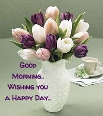 30+ Inspirational Good Morning Quotes with Beautiful Images