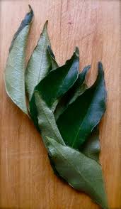 Curry leaf trees are ubiquitous in south indian gardens as they are one of the most commonly and avidly used flavoring ingredients in practically all savory recipes. Curry Leaf Pranee S Thai Kitchen