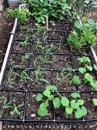 Maybe you would like to learn more about one of these? Starting A Fall Garden Growing In The Garden