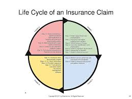 However, the payment can be delayed for a variety of reasons, such as sending in the wrong forms. Basics Of Health Insurance Ppt Download