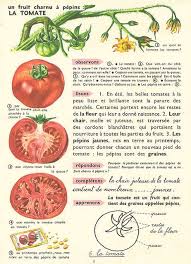 Pin On Le Coin Des Enfants