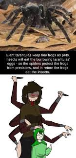 That Time I got Reincarnated as a LowRes member