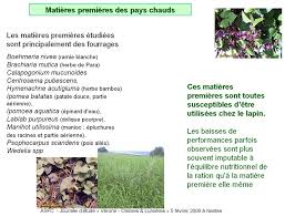 Image result for Psophocarpus scandens