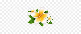 plumeria flower stickers decals over a dozen designs plumeria png stunning free transparent png clipart images free download plumeria flower stickers decals over a