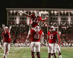 A Helmet-Cracking Linebacker