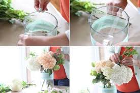 Kết quả hình ảnh cho cẩm tú cầu nhiều màu