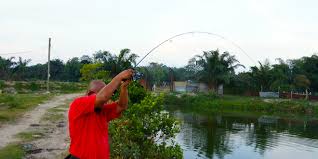 Sila hubungi saya, nik tel : Bagaimana Membuat Pemilihan Rod Yang Sesuai Ultralight Fishing Tips And Tricks For Ultralight Anglers