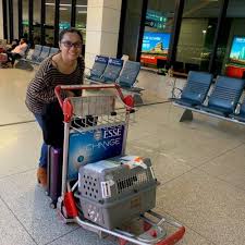 The cbd store locators on this page can help you find a shop near you. Pet Relocation Services Shipping Transport Services Jetset Pets