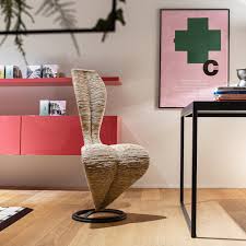 Image result for Secamone stuhlmannii