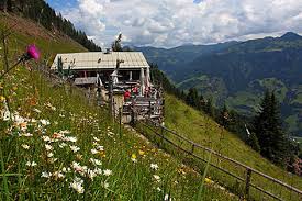 Maybe you would like to learn more about one of these? Viehhausalm In Grossarl Radio Salzburg