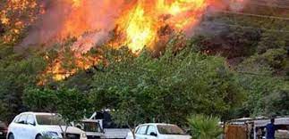 In der türkischen urlaubsregion antalya ist ein heftiger waldbrand ausgebrochen. Waldbrand Turkei Vaybee De Turkische Nachrichten