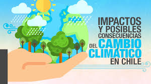 Aunque los efectos del coronavirus son para muchos más evidentes en este momento que los de cambio climático, los expertos dicen que por causa de la pandemia no se debe descuidar el medio ambiente. Cambio Climatico En Chile Cuales Son Las Principales Que Consecuencias Que Podria Enfrentar El Pais Emol Com