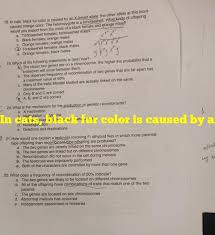 Join an activity with your class and find or create your own quizzes and flashcards. Why Are Calico Cats Female Quizlet