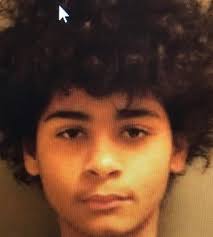 Investigators with the Greenville County Sheriff's Office are seeking  information regarding the whereabouts of a 14 year-old, runaway juvenile,  Zephaniah Blake Hancock. Zephaniah was last seen